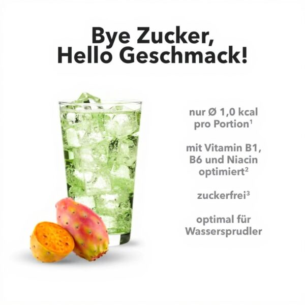 Best Body Nutrition Vital Drink ZEROP Kaktusfeige Sirup