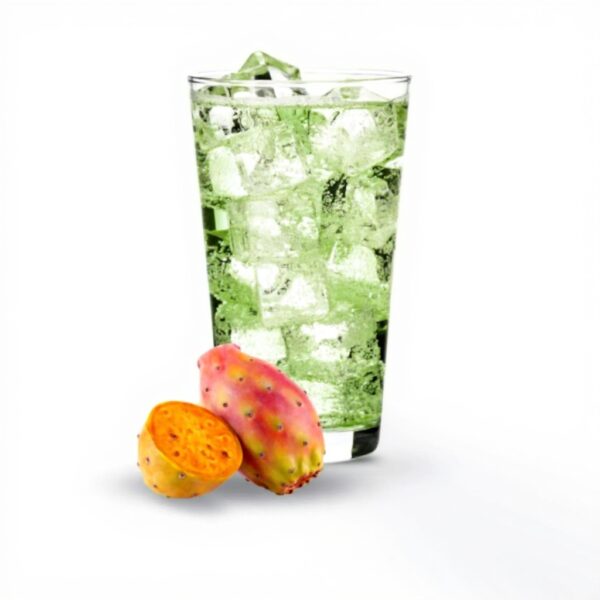 Best Body Nutrition Vital Drink ZEROP Kaktusfeige Sirup