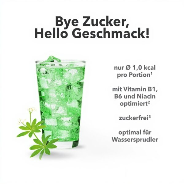 Vital Drink ZEROP Waldmeister Sirup zuckerfrei 80 Liter