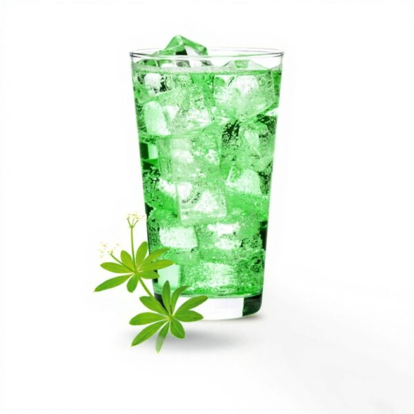 Vital Drink ZEROP Waldmeister Sirup zuckerfrei 80 Liter