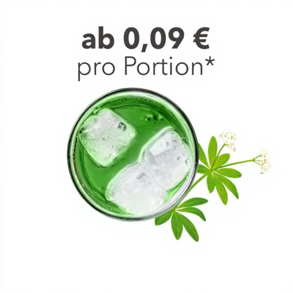 Vital Drink ZEROP Waldmeister Sirup zuckerfrei 80 Liter