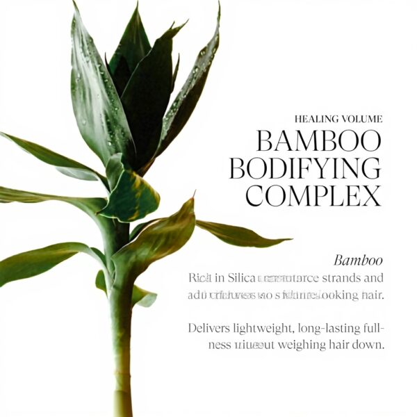 LANZA Volumengel ohne Parabene und Sulfate 17406D