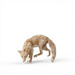 The Wild Life of the Fox Buch Geowissenschaften Natur