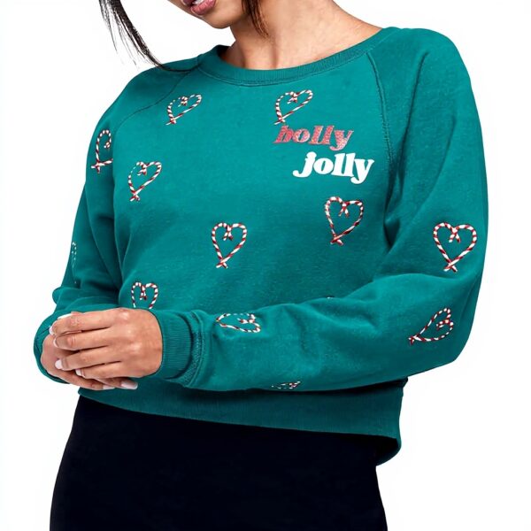 Wildfox Damen Slouchy Pullover Sweatshirt Rundhalsausschnitt